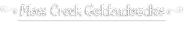 Moss Creek Goldendoodles Logo