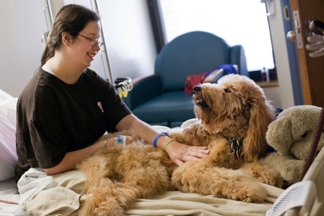 Rackley the Service Dog