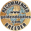 Recommended Goldendoodle Breeder