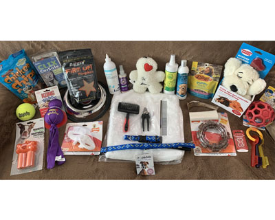 Moss Creek Puppy Kit