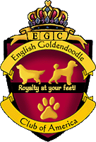 English Goldendoodle Club of America