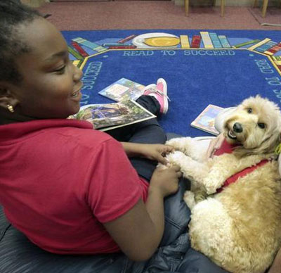 R.E.A.D Therapy Dog Gracie