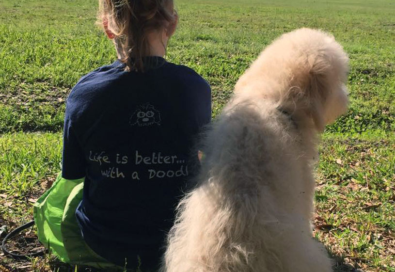 Goldendoodle Puppies by Moss Creek Doodles