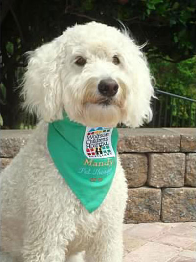 Mandy - Moss Creek Therapy Dog