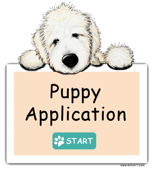 Moss Creek Goldendoodles Puppy Application