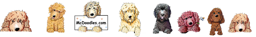 Goldendoodle Puppies by Moss Creek Goldendoodles