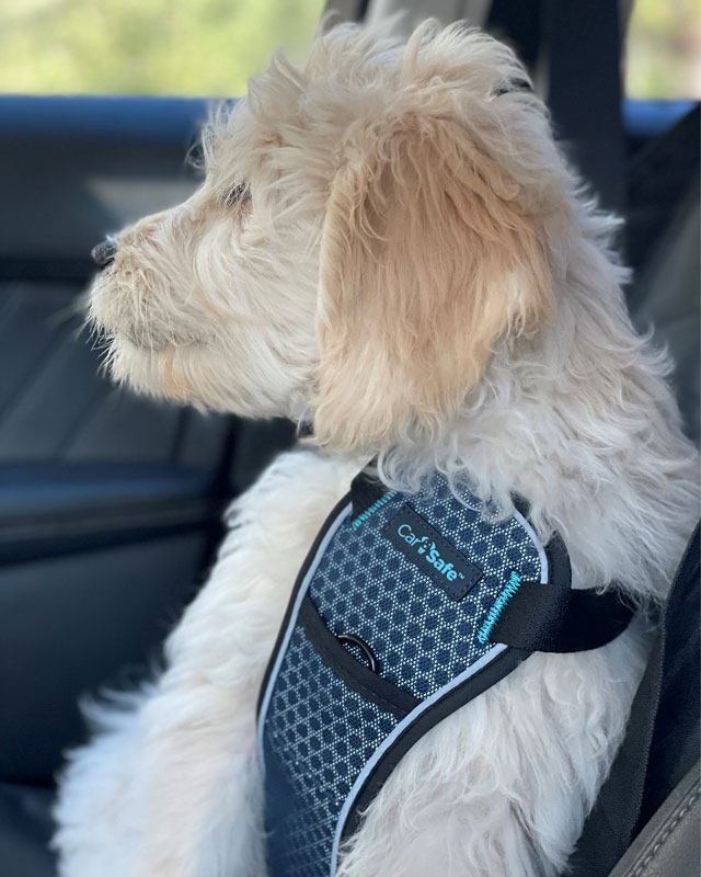 Crash tested dog harness deals